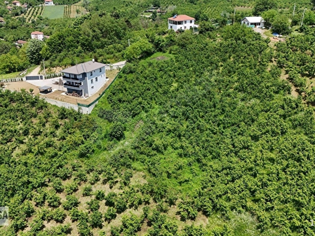 KW METSADAN FULL DÜZCE MANZARALI SATILIK ARSA - Görsel 30