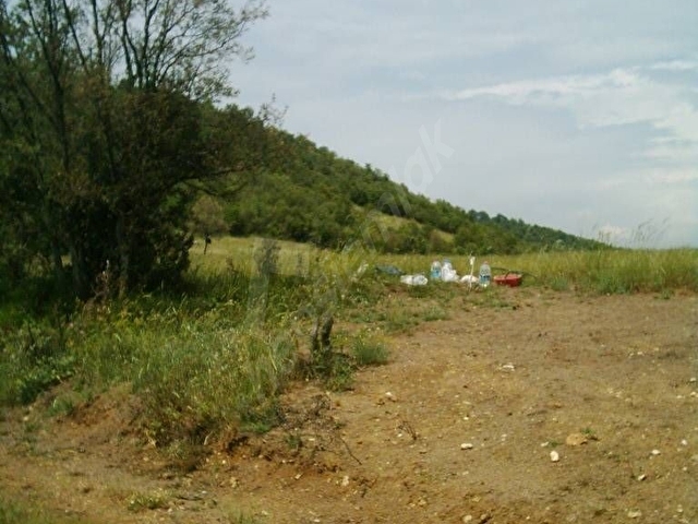 Sahibinden Bursa -İznik- Bayındır Köyü  İznik göl manzaralı çiftlik yapımına uygun Büyük Arazi - Görsel 10