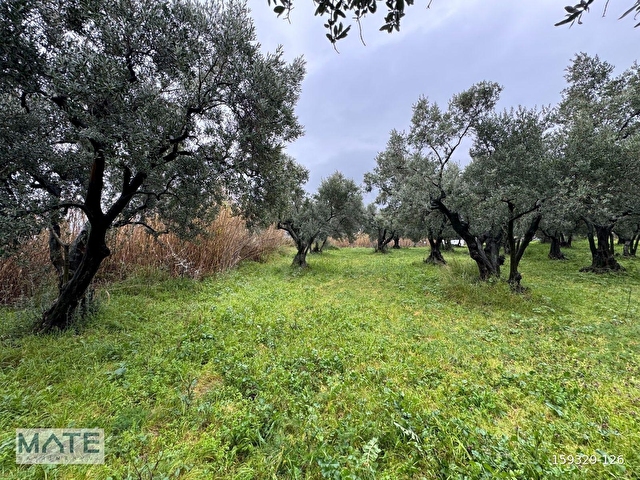 Hamamlı Yol Üstü 1.607 M2 Satılık ARAZİ - Görsel 23