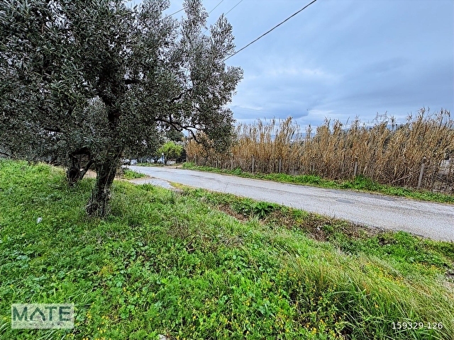Hamamlı Yol Üstü 1.607 M2 Satılık ARAZİ - Görsel 3