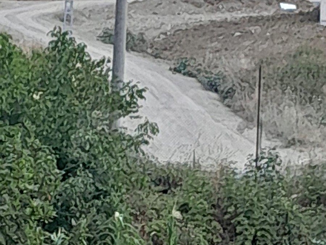 KARAMÜRSEL - SEMETLERDE  İÇİNDE MÜSTAKİL EV VE DEPO BULUNAN 25167 M2 ÇİFTLİK - Görsel 16