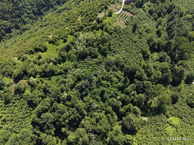 TRABZON ORTAHİSAR KAVALADA 888M2 SATILIK ARSA - Görsel 4