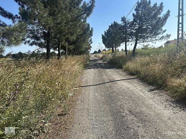 SİLİVRİ ÇANTA BALABANDA GENİŞ METRAJLI MÜSTAKİL ARSA