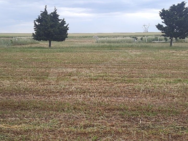 Tekirdağ Yenicede İmarlı Arsa - Görsel 6