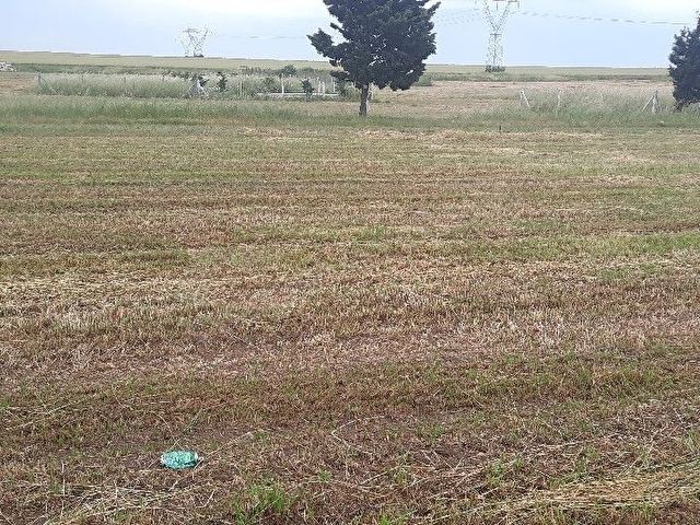 Tekirdağ Yenicede İmarlı Arsa - Görsel 7