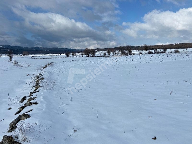 mah 1304 84 m2 tarla 87791 267480