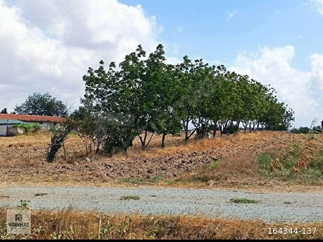Saray / Beyazköy Mahallesinde Satılık Konut İmarlı Arsa – 2.124 m2  - Görsel 7