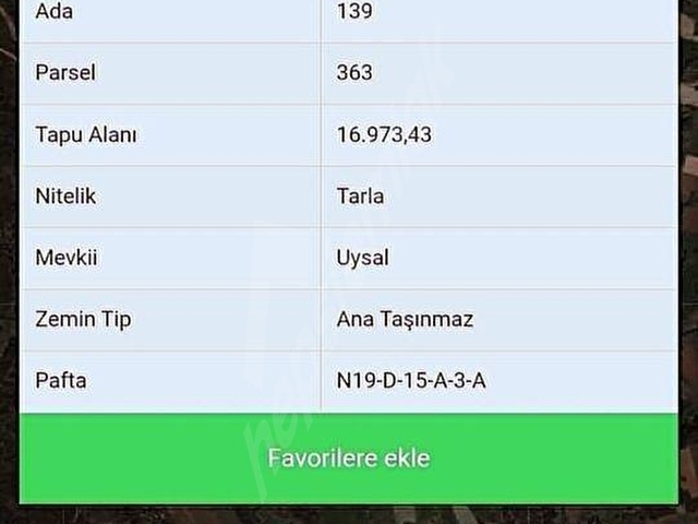 MİLAS KUZYAKA MAHALLESİNDE YATIRIMLIK SATILIK TARLA - Görsel 5