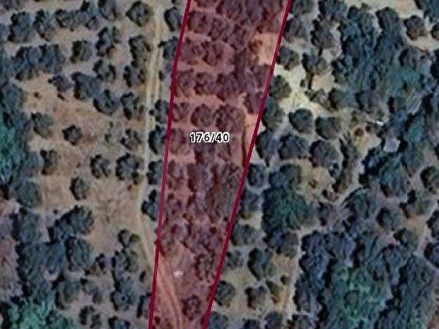 BANDIRMA DETAY EMLAKdan SAHİL YENİCEde 1 278 m2 SATILIK ZEYTİNLİK