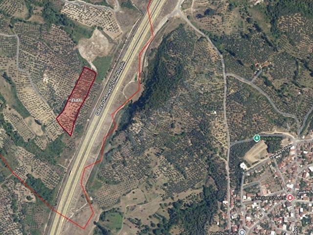 D100 KARAYOLUNA CEPHE YATIRIMLIK FIRSAT ZEYTİNLİK - Görsel 3
