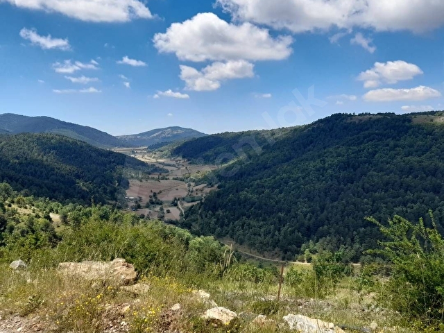 SAHİBİNDEN MUHTEŞEM MANZARALI YAYLA ARAZİ - Görsel 8