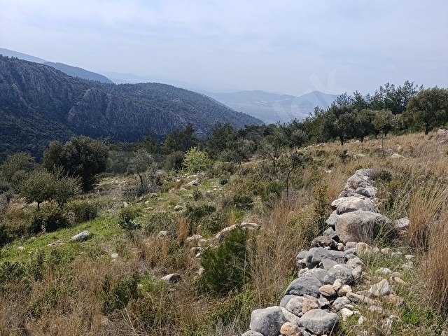 YUSUFÇA İLE KAYABAŞI MAH SINIRINDA MİLASA 13-14 KM MESAFEDE TAKASA AÇIK SAHİBİNDEN SATILIK ZEYTİNLİ - Görsel 8
