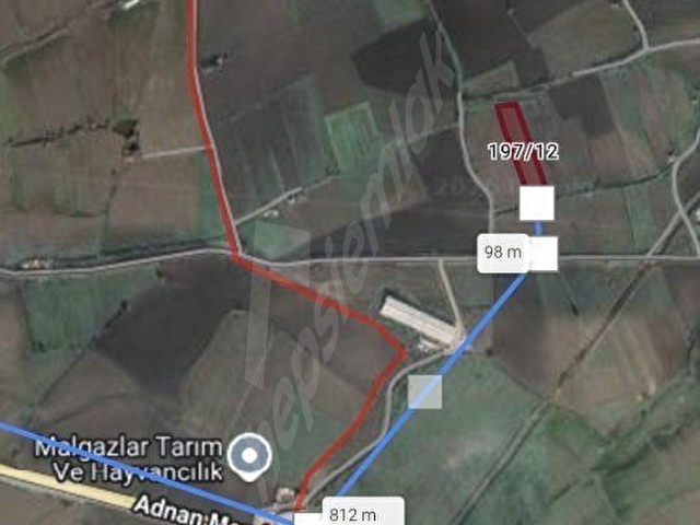 BERGAMA-KİNİK Anayola yakın tek tapu satılık TARLA - Görsel 3
