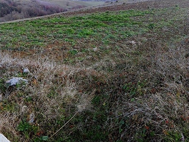 KOCAELİ KAYNARCADA 3 DÖNÜMDEN FAZLA SATILIK FIRSAT - Görsel 5