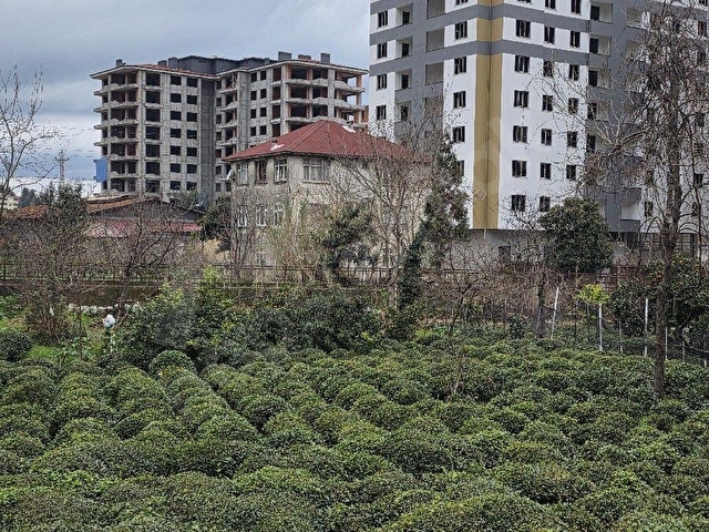 TAŞÇIOĞLU EMLAK || Engindere Mah. 10 Kat İmarlı 273m2 Satılık Arsa - Görsel 17