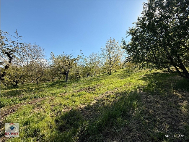 YUKARIDERE KÖYDE SATILIK MEYVE BAHÇESİ FIRSATI(GÖL MANZARALI) - BAHADIR EKERDEN - Görsel 17
