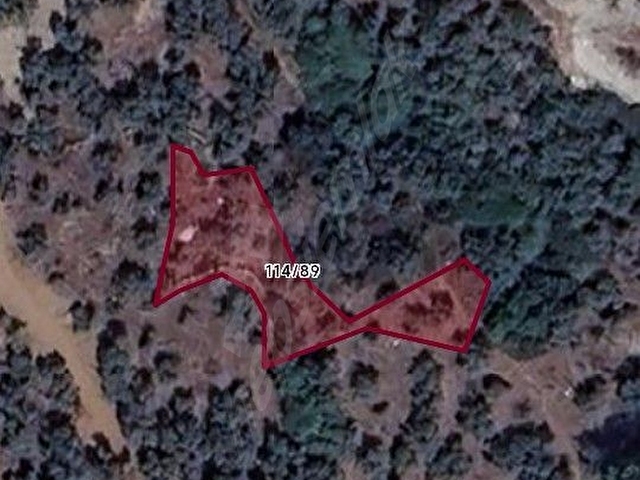 Muğla milas etrenli de fırsat yatırımlık