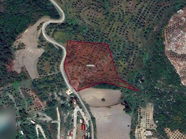 Kuşadası Milli Park Sisam Adası Ve Deniz Manzaralı 9424 M2 Arazi