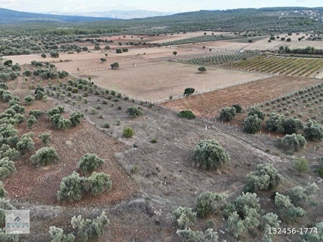 MENDERES İLÇESİ GÖLOVA KÖYÜNDE ULAŞIMI KOLAY 5.575 M2 BAHÇE - Görsel 8