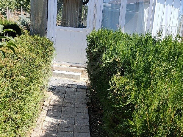 BİLECİK SÖĞÜTTE  MUHTEŞEM BAĞ EVİ VE BAHÇESİ - Görsel 17