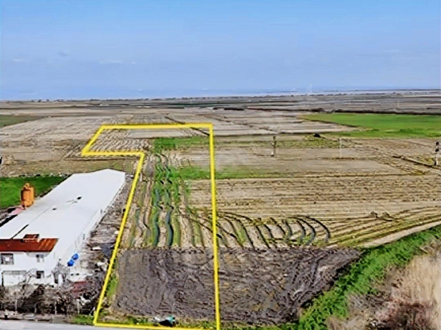 Manyas Akçaova Satılık