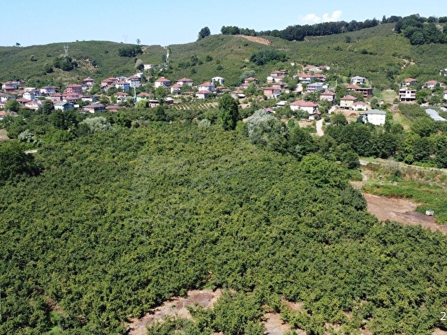 AKÇAKOCA ÇAYAĞZINDA YERLEŞİM YERİNE YAKIN VERİMLİ FINDIK BAHÇESİ - Görsel 9