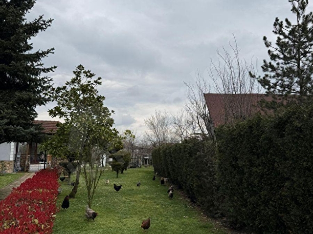 DOĞA NIN İÇİNDE MÜSTAKİL HAVUZLU YOL CEPHELİ BAHÇELİ - Görsel 28