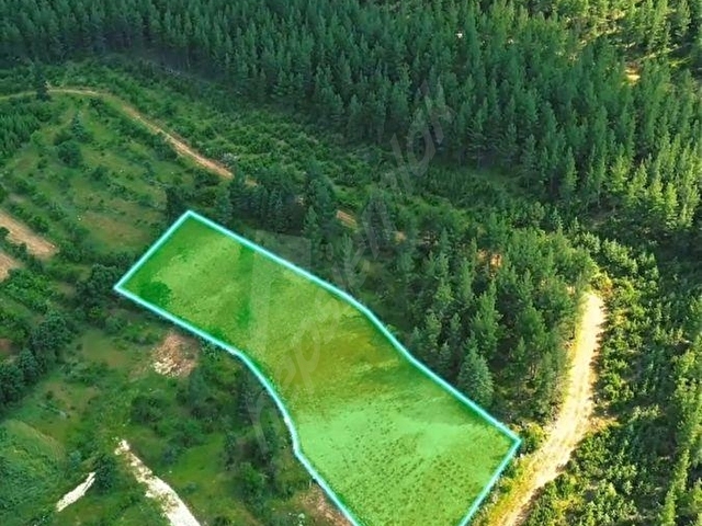 BUCAK BEŞ KONAKTA 6.500 M2 ARSA - Görsel 10