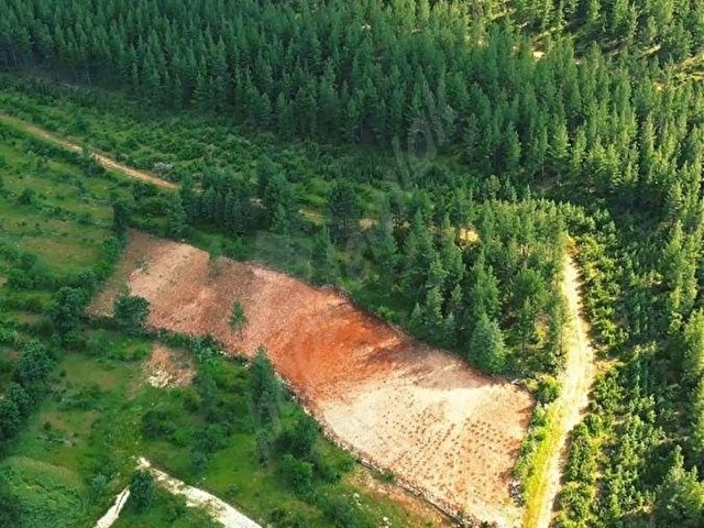 BUCAK BEŞ KONAKTA 6.500 M2 ARSA - Görsel 7