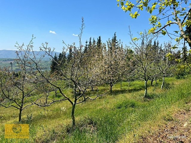 FURKAN DEMİRDEN KARAMÜRSEL İNEBEYLİ 3555 M2 SATILIK EV VE BAHÇE - Görsel 10