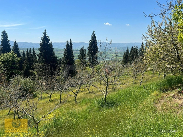 FURKAN DEMİRDEN KARAMÜRSEL İNEBEYLİ 3555 M2 SATILIK EV VE BAHÇE - Görsel 13