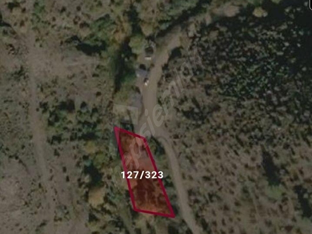 Dikili Çağlanda Satılık Yola Sıfır Fırsat Tarla - Görsel 30