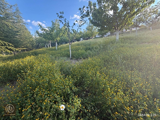 1167 M² ARSA 90 M² 2+1 EVİ İLE MUHTEŞEM FIRSAT - Görsel 19