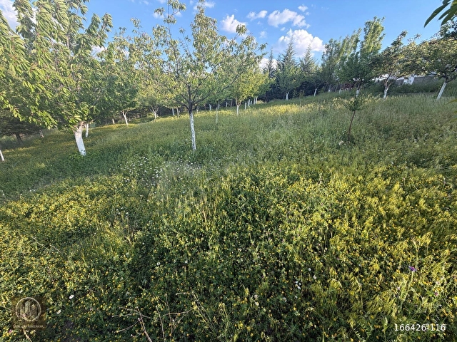 1167 M² ARSA 90 M² 2+1 EVİ İLE MUHTEŞEM FIRSAT - Görsel 22