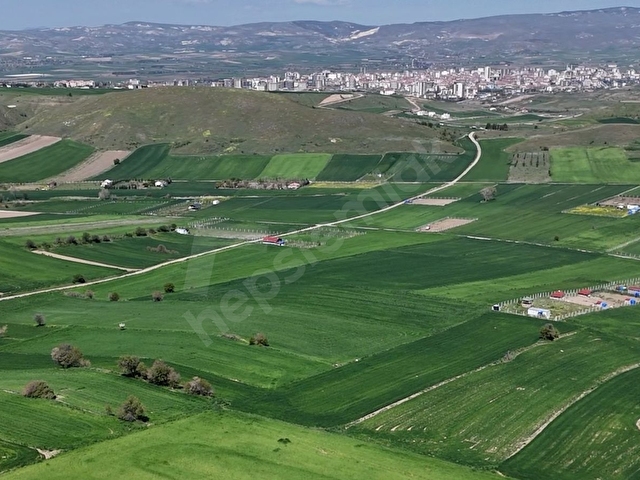 GÜVEN MAHALLESİNDE 4865 M2 SATILIK TARLA - Görsel 9