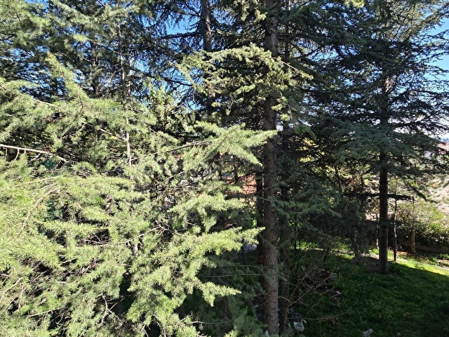 Keçiören Kızlarpınarı Cadde Üzeri 3+1 Orta Kat Kuyubaşında - Görsel 23