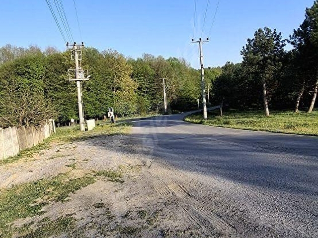 SAKARYA/FERİZLİ/KUSCA MAHALLESİNDE VİLLALIK(KUPON ARAZİ) - Görsel 2