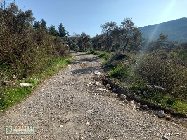 HAYALETTEN ÖREN YOLUNA SIFIR MÜSTAKİL PARSEL - Görsel 8