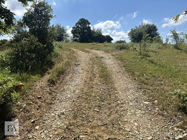 ŞİLE TEKE MH. 1373 M2 %15 VİLLA - KONUT İMARLI - Görsel 12