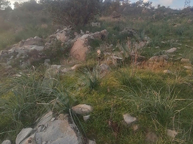 Devecioğlu Emlak Dan yola cephe harika konumda satılık tarla - Görsel 12
