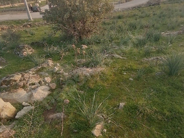 Devecioğlu Emlak Dan yola cephe harika konumda satılık tarla - Görsel 14