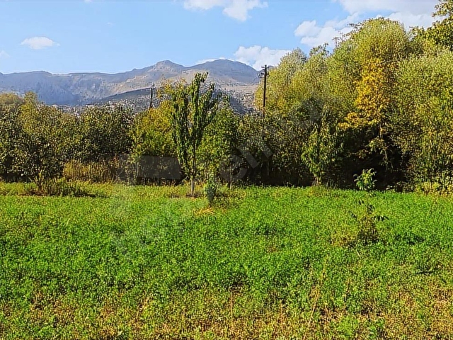 ASYA EVİM EMLAKTAN AĞLASUN KUM MAH DE FIRSAT HOBİ BAHÇESİ - Görsel 15