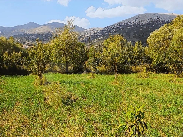 ASYA EVİM EMLAKTAN AĞLASUN KUM MAH DE FIRSAT HOBİ BAHÇESİ - Görsel 8