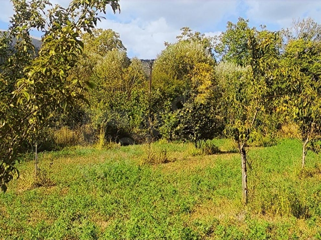 ASYA EVİM EMLAKTAN AĞLASUN KUM MAH DE FIRSAT HOBİ BAHÇESİ - Görsel 7