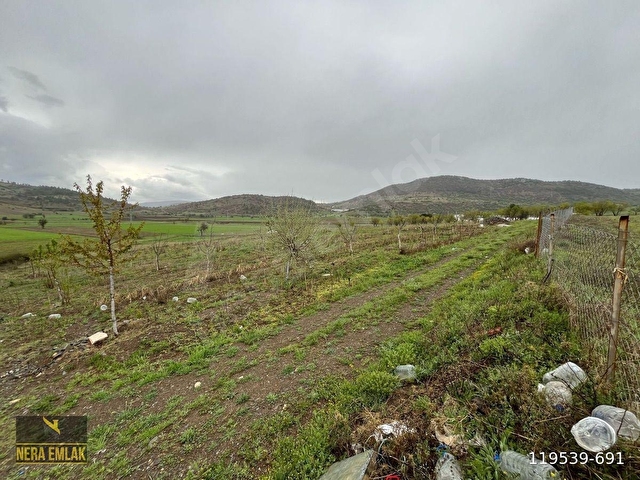 ÇARDAKDA TEK TAPU BAHÇELİ MÜSTAKİL EV VE ARSASI 5.648m2 - Görsel 21