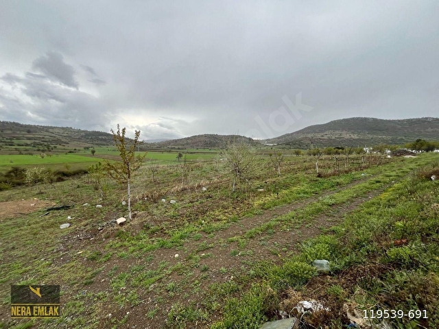ÇARDAKDA TEK TAPU BAHÇELİ MÜSTAKİL EV VE ARSASI 5.648m2 - Görsel 17
