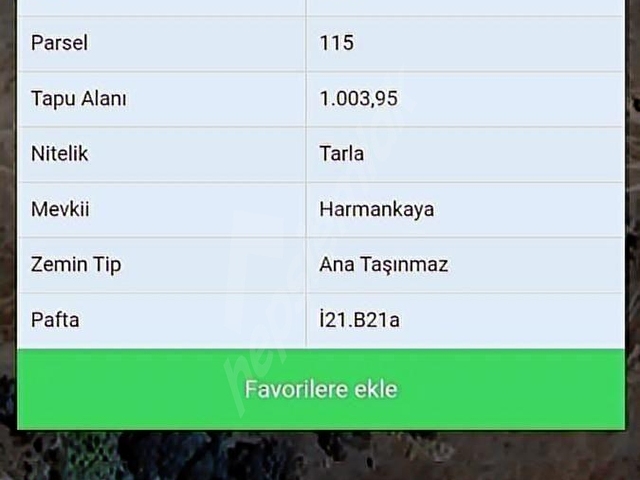 BURSA BÜYÜKOPRHANLI SARNIÇ MAHALLESİ YATIRIM FIRSATI - Görsel 20