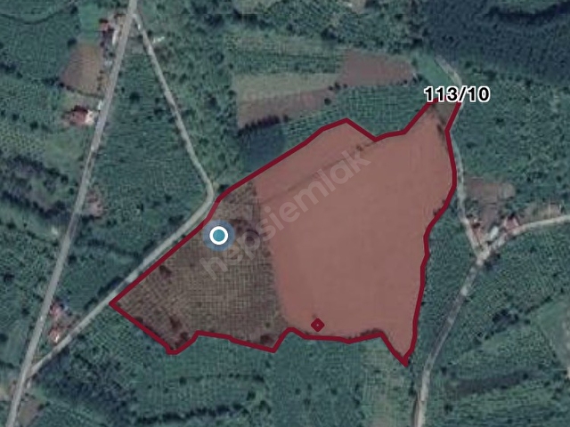 Samsun Termede Satilik 71 700 M2 Tarla 119927 40 Hurriyet Emlak