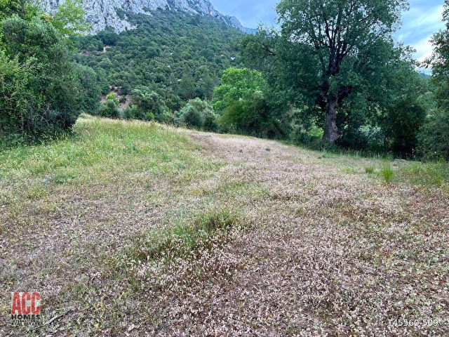 ACC HOMESTAN KIZILLI BUCAK HARİKA MANZARADA 6575 M2 BAHÇE - Görsel 8