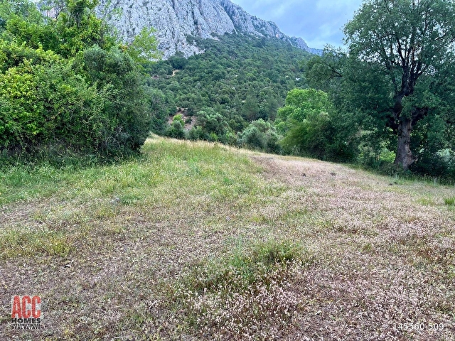ACC HOMESTAN KIZILLI BUCAK HARİKA MANZARADA 6575 M2 BAHÇE - Görsel 7